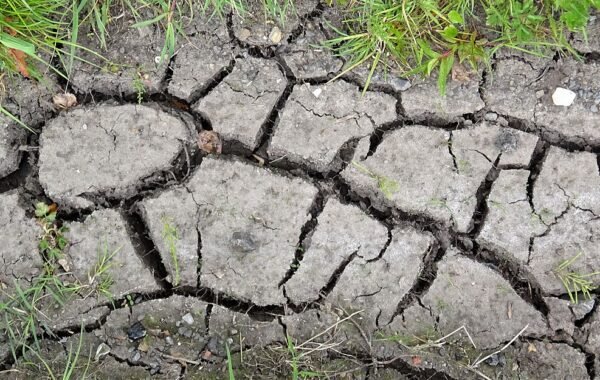 گرمی نے 2023 میں ریکارڈ 7 لاکھ 10 ہزار جانیں لیں: لینسٹ کا مطالبہ — موسمیاتی تبدیلی کو عالمی صحت ایمرجنسی قرار دیا جائے